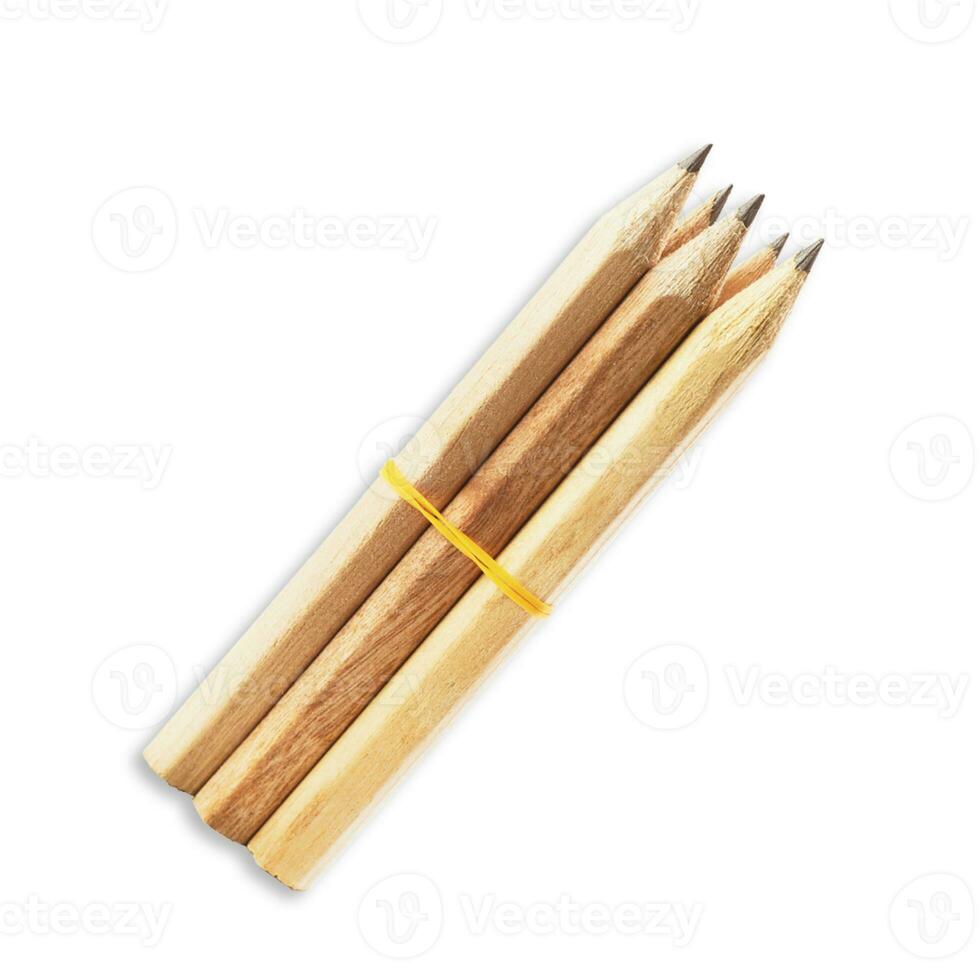 Back to school concept with pencils isolated on grey background. photo