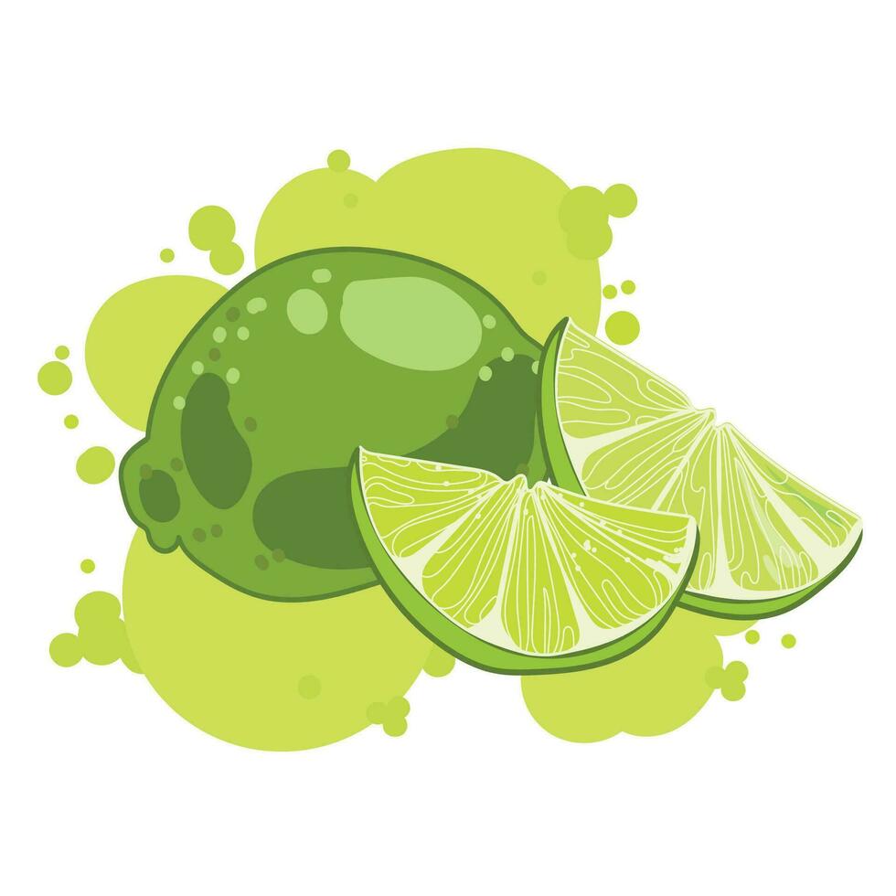 Lime whole and slice Abstract drawing.Logo,emblem,print,sticker icon design. Colorful drawing of green citrus lime. Vector illustration