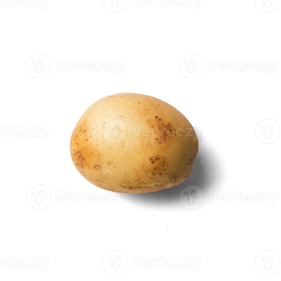 Close up view dry potatoes against white background. photo