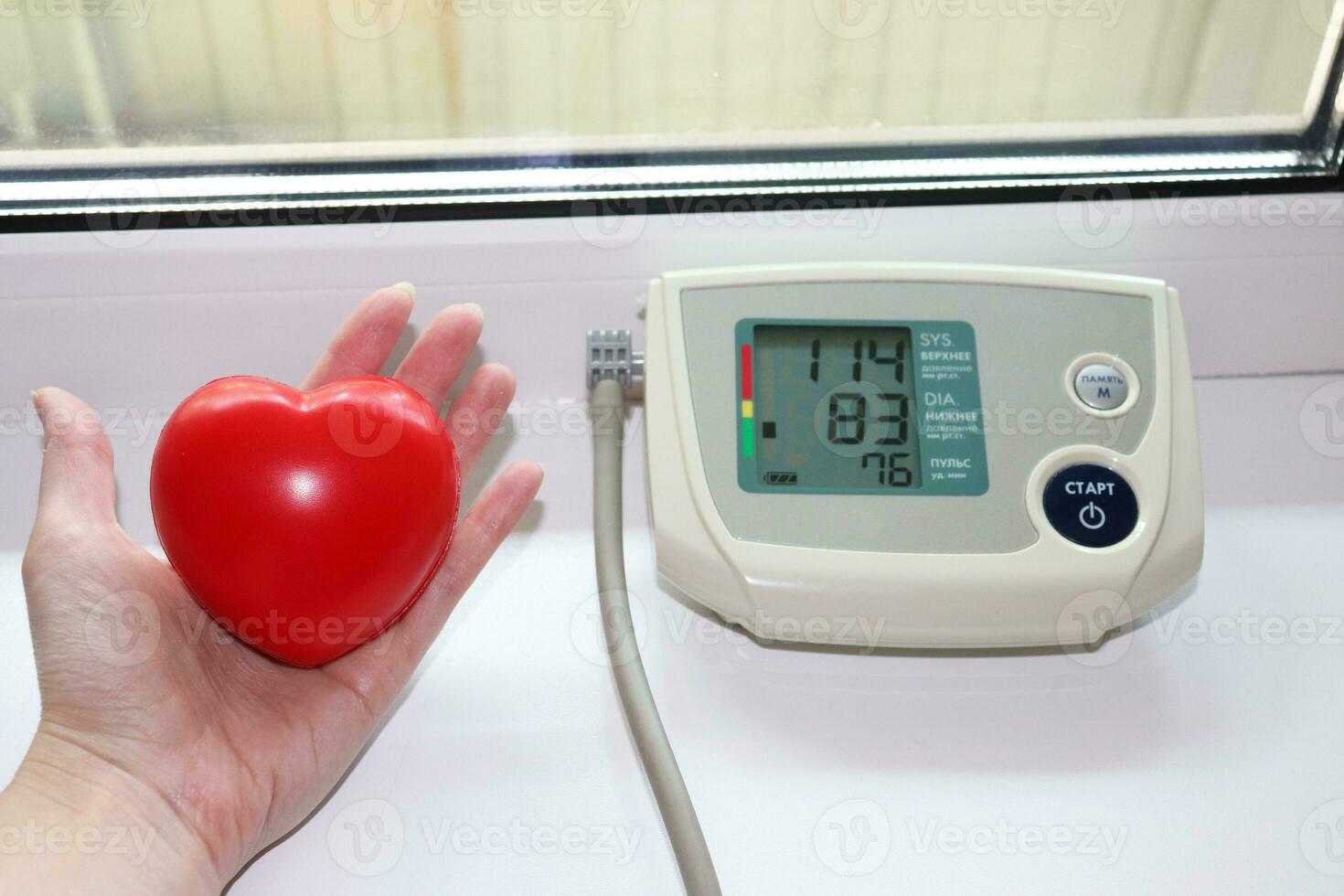 photo portable blood pressure monitor - turned on device with indicators on the screen and a rubber hand trainer in the shape of a heart in a woman's hand