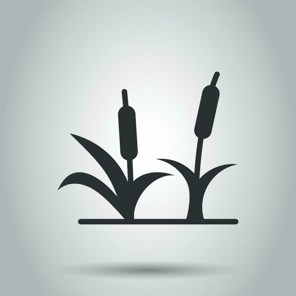 Reeds grass icon in flat style. Bulrush swamp vector illustration on white background. Reed leaf business concept.