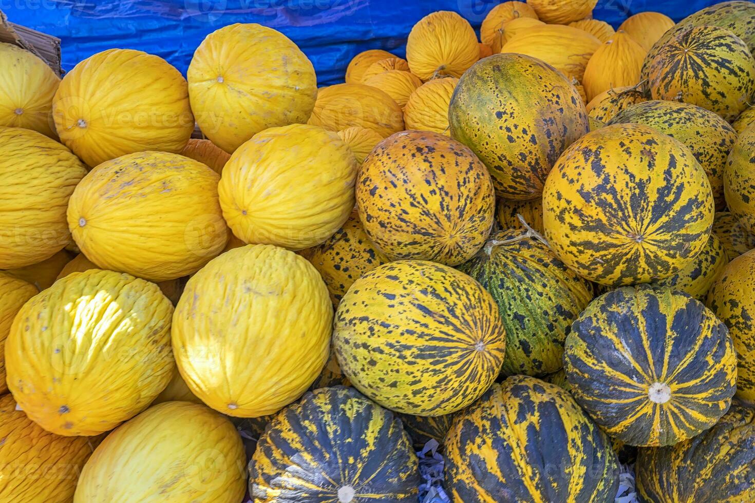 Watermelon and melon at a marketplace. Ripe juicy melons and watermelons on the street food market in Edirne, Turkey photo