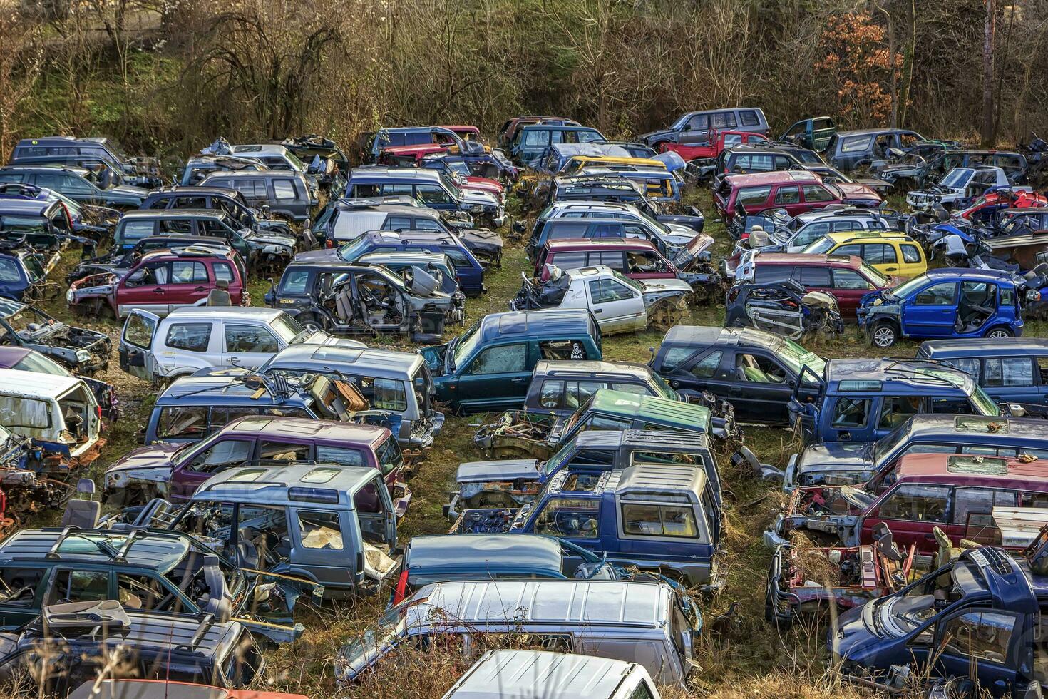Many cars in a scrapyard with bonnets up and parts missing like tires photo