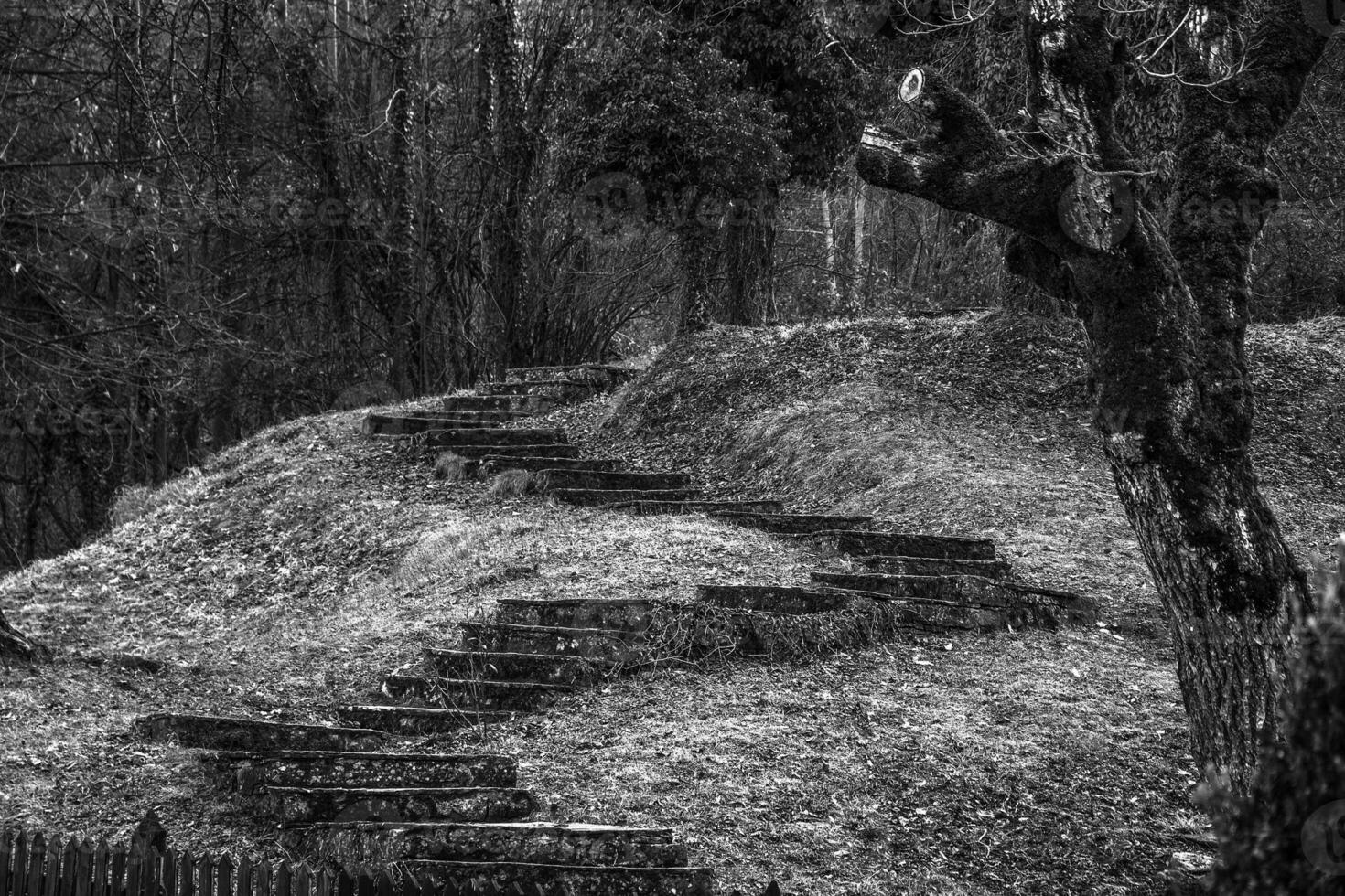 Mystery stone stairs in the forest photo