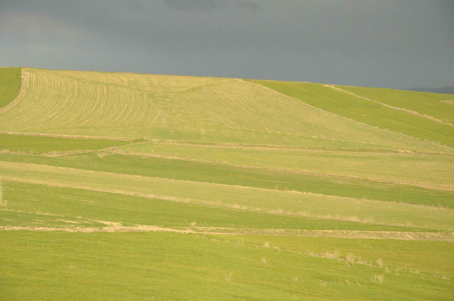 green valley sky and a spacious nature photo