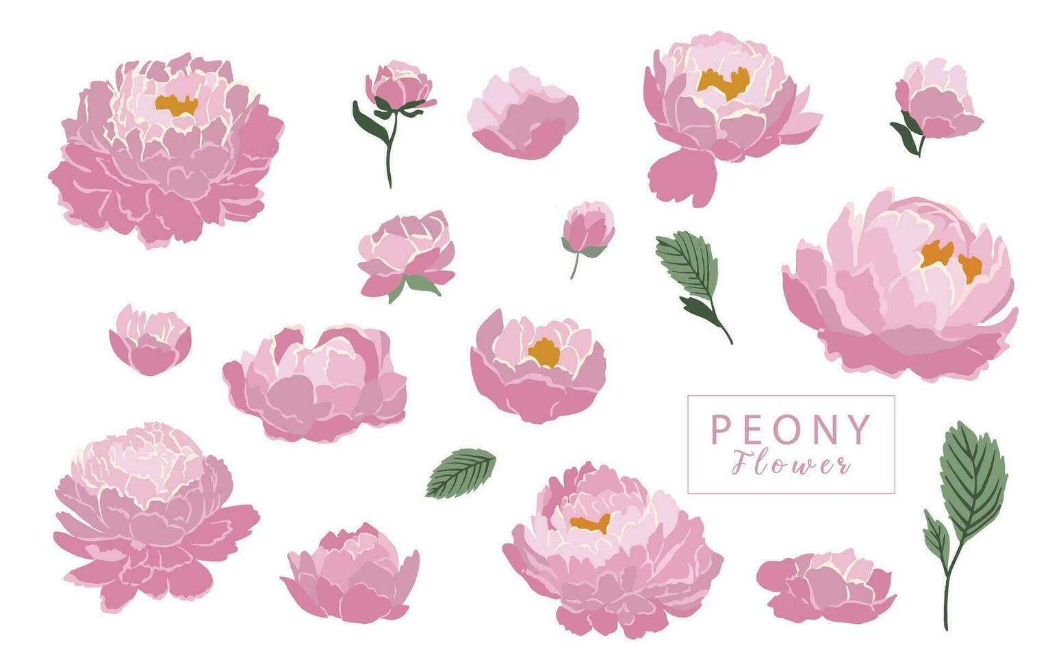 flower collection with pink peony element.Vector illustration for icon,sticker,printable vector