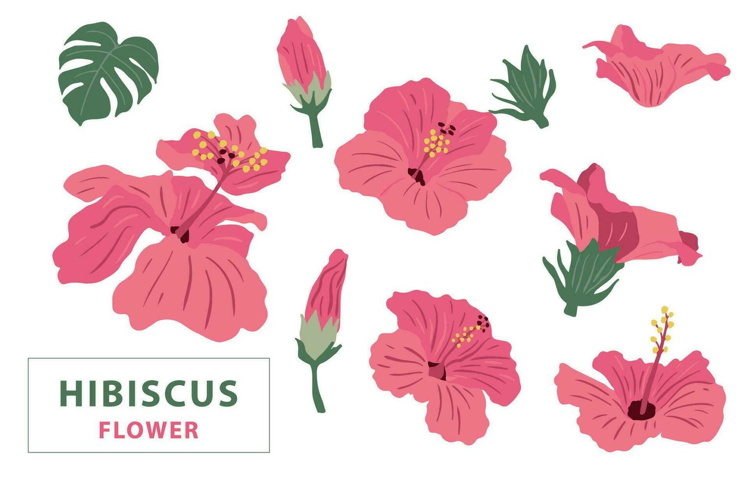 flower collection with pink hibiscus element.Vector illustration for icon,sticker,printable vector