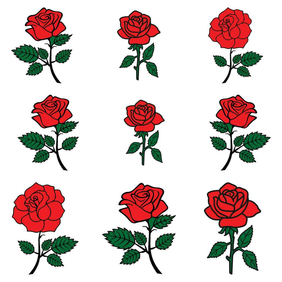 Beautiful Red Rose Flowers Vector Set