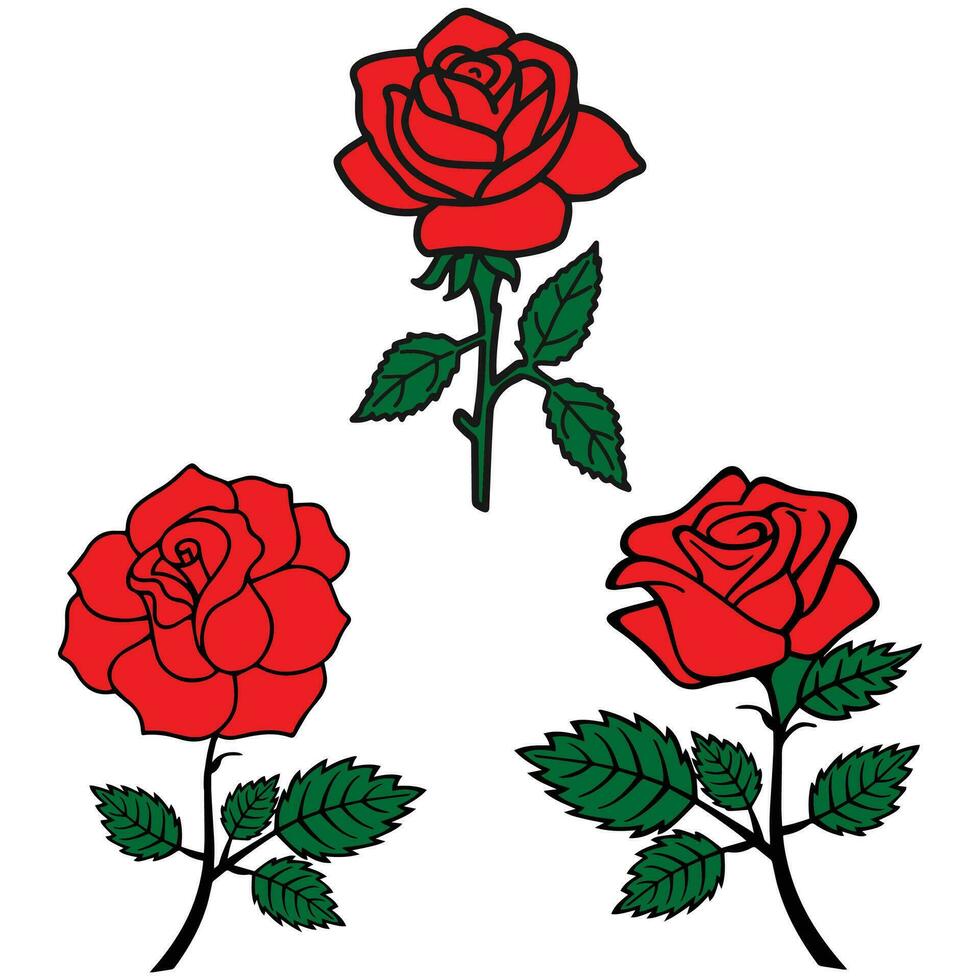 Beautiful Red Rose Flowers Vector Set