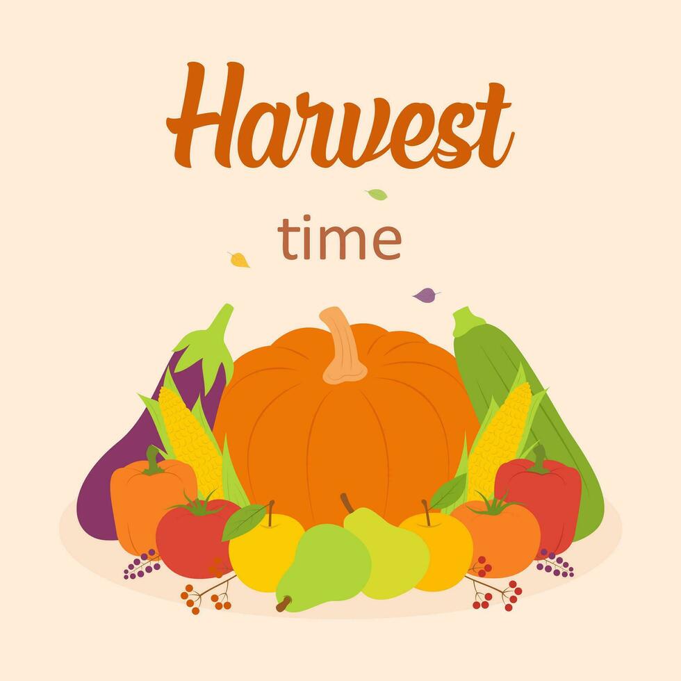Autumn Harvest time background vector
