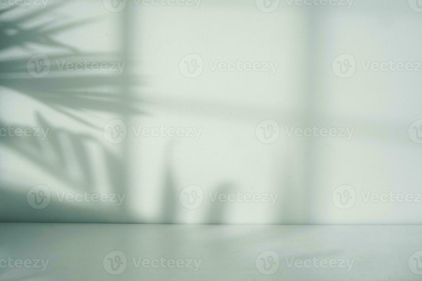 Empty room with leaf and window shadow for display photo