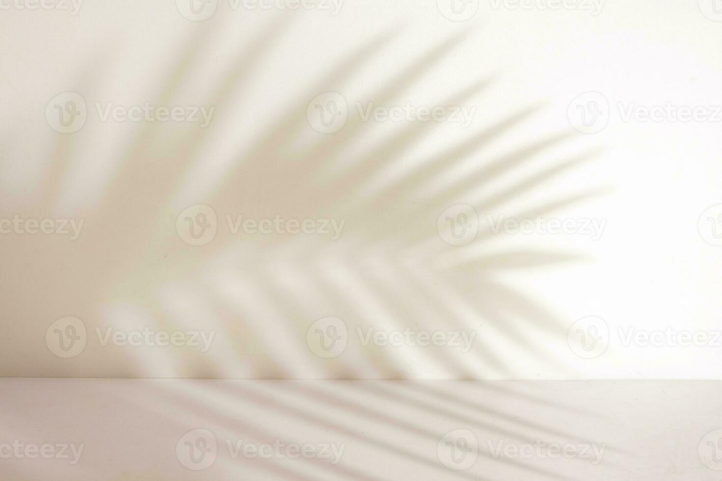 Minimalist empty room with palm leaf shadow photo