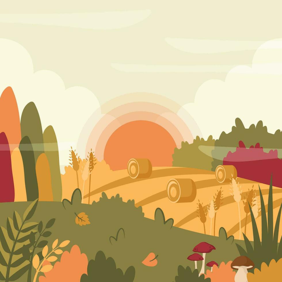 otoño paisaje. otoño hermosa antecedentes con campo, trigo y pajares, atardecer, amanecer. rural área. naturaleza modelo. vector plano dibujos animados ilustración para bandera, póster, cubrir, saludo tarjeta