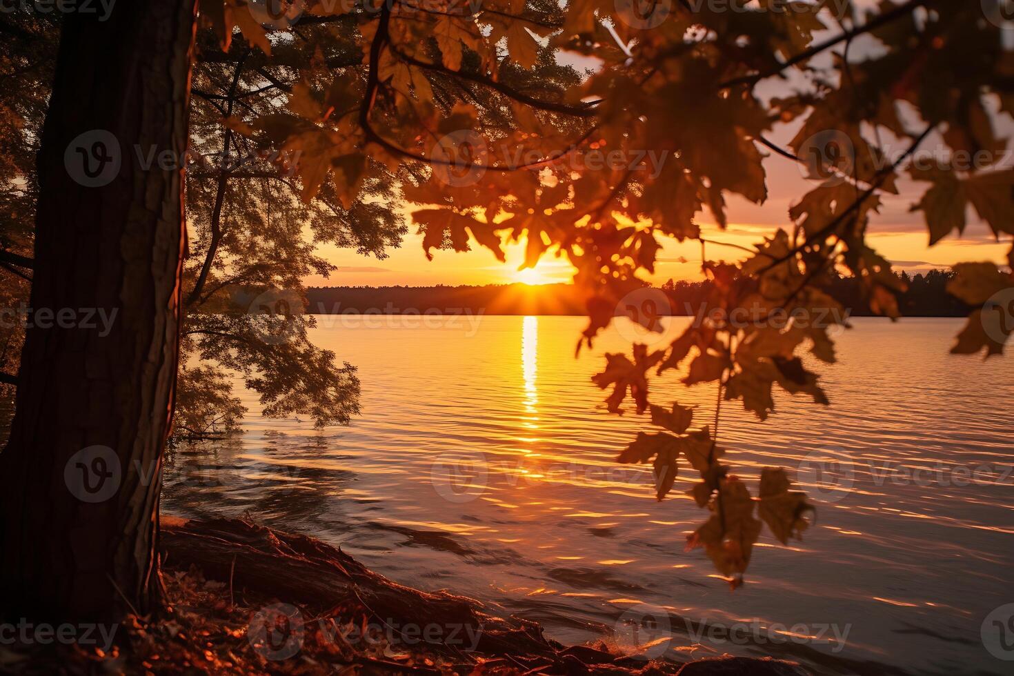 A beautiful shot of a lake during sunset with a tree in the foreground photo