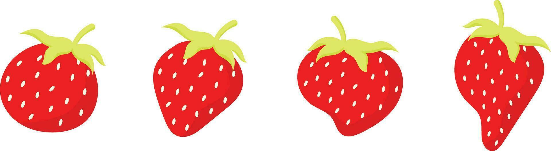 ed fruit strawberrys vector set ,sweet fruit for summer amd holiday