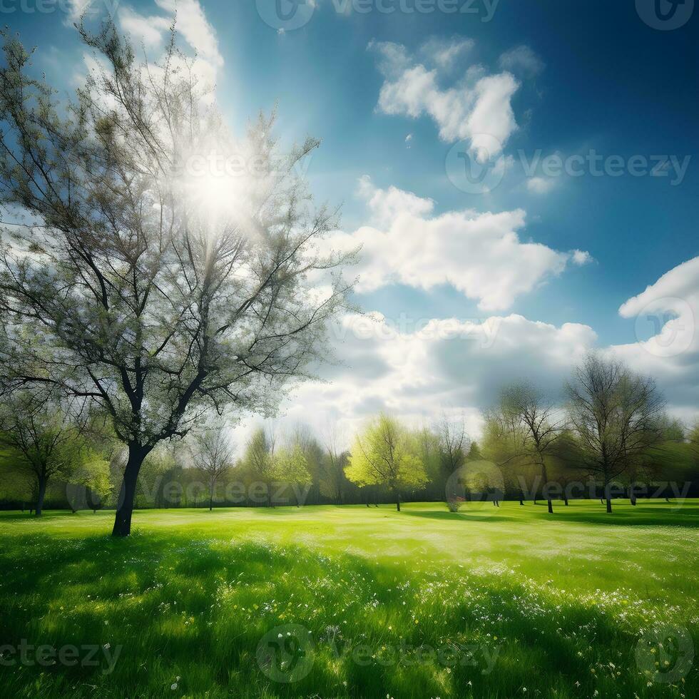 view spring nature with a neatly trimmed lawn surrounded by trees ,generative ai photo