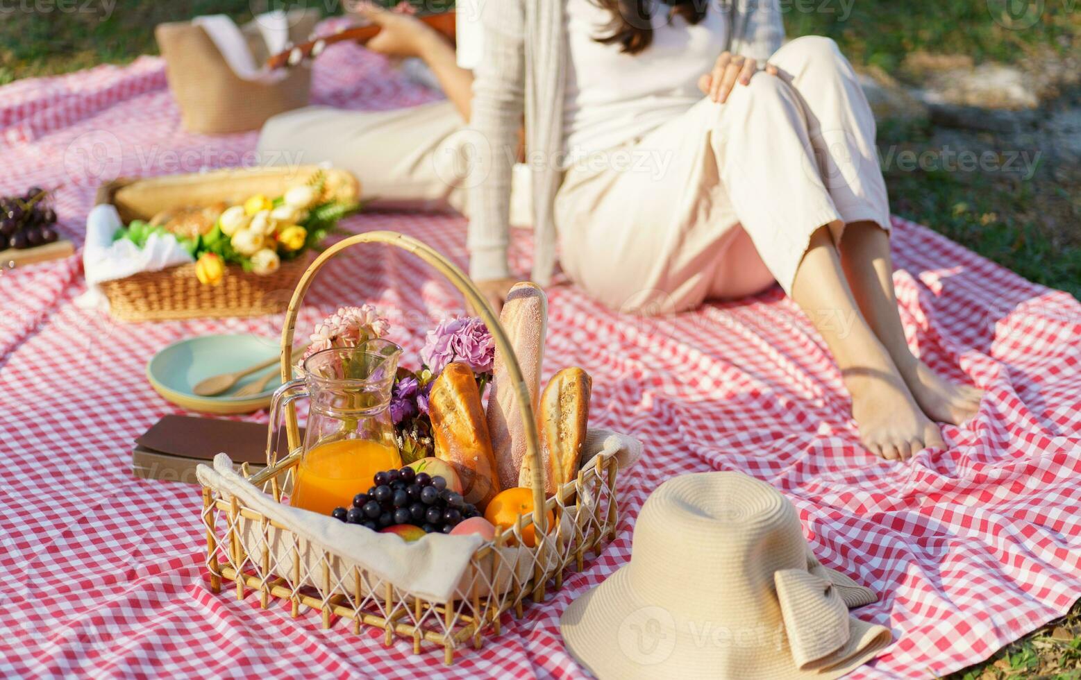 Picnic Lunch Meal Outdoors Park with food picnic basket. enjoying picnic time in park nature outdoor photo