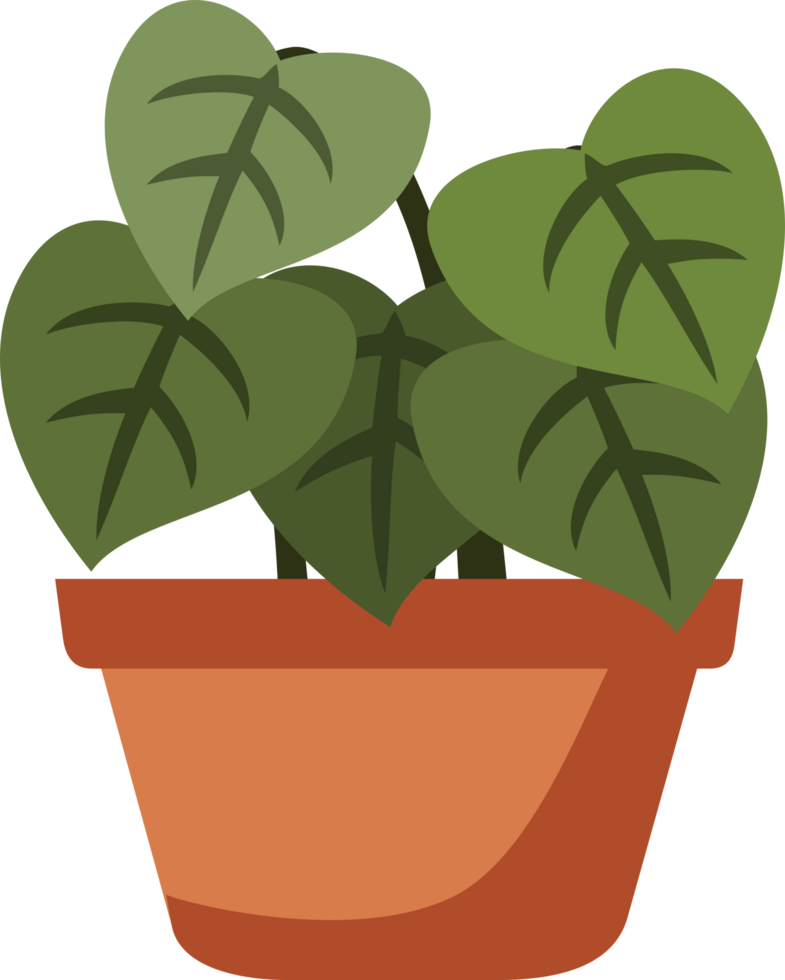 Houseplant on a Pot flat illustration png