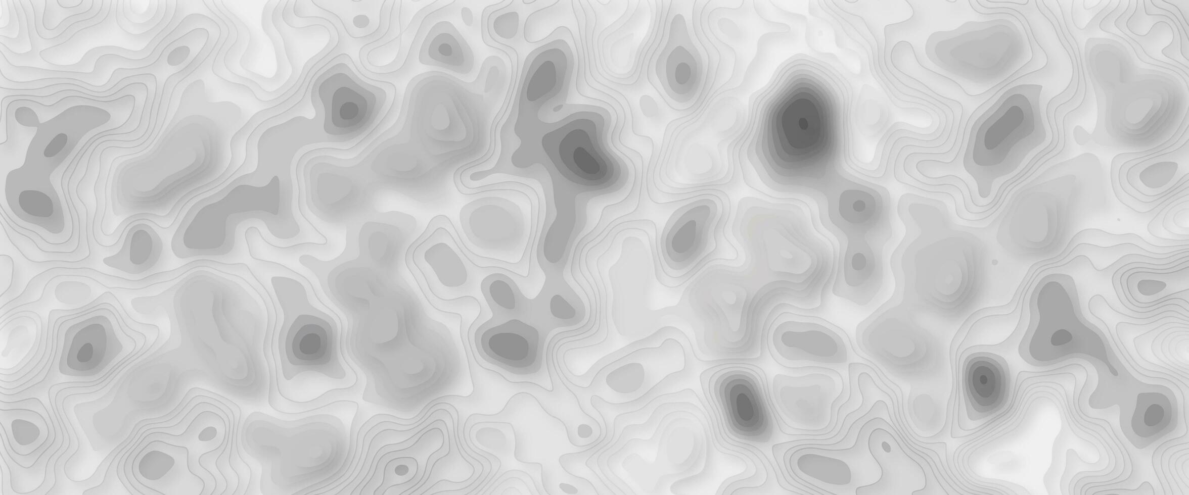black and white abstract papercut background. Modern background with fluid and organic shapes. photo