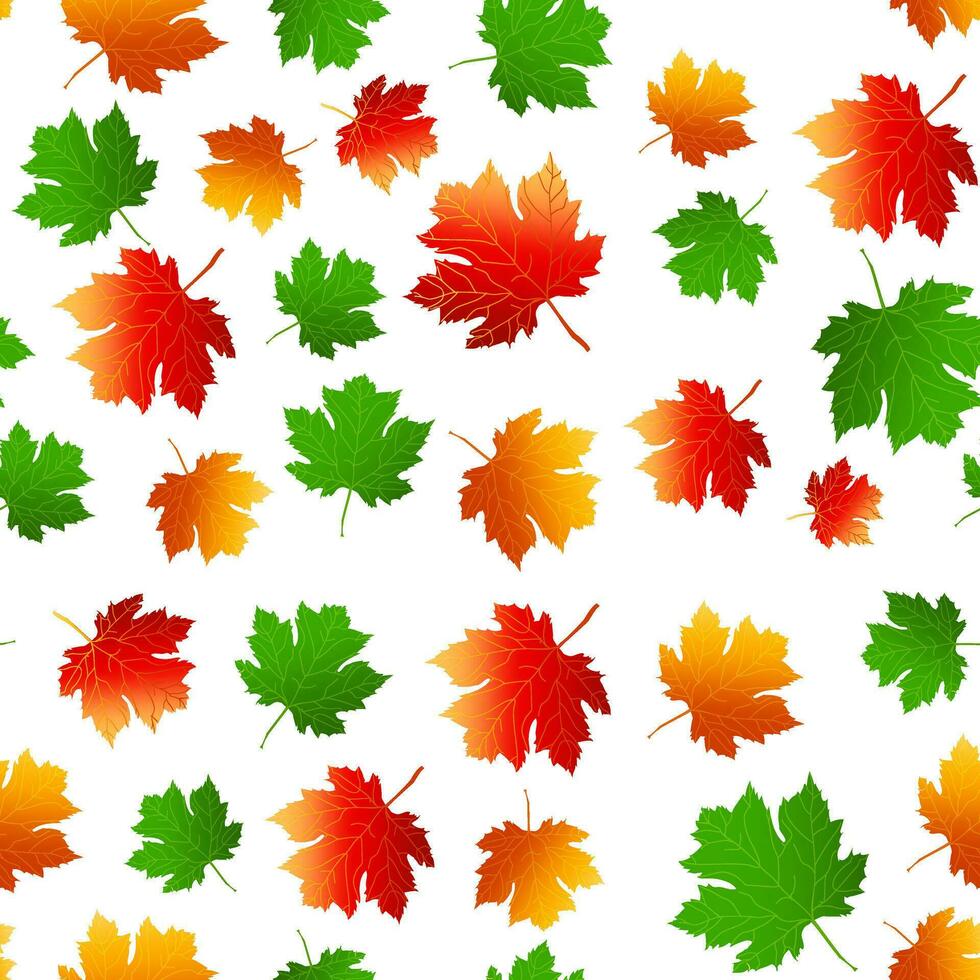 Multicolored autumn seamless pattern of autumn maple leaves on a white or transparent background. vector