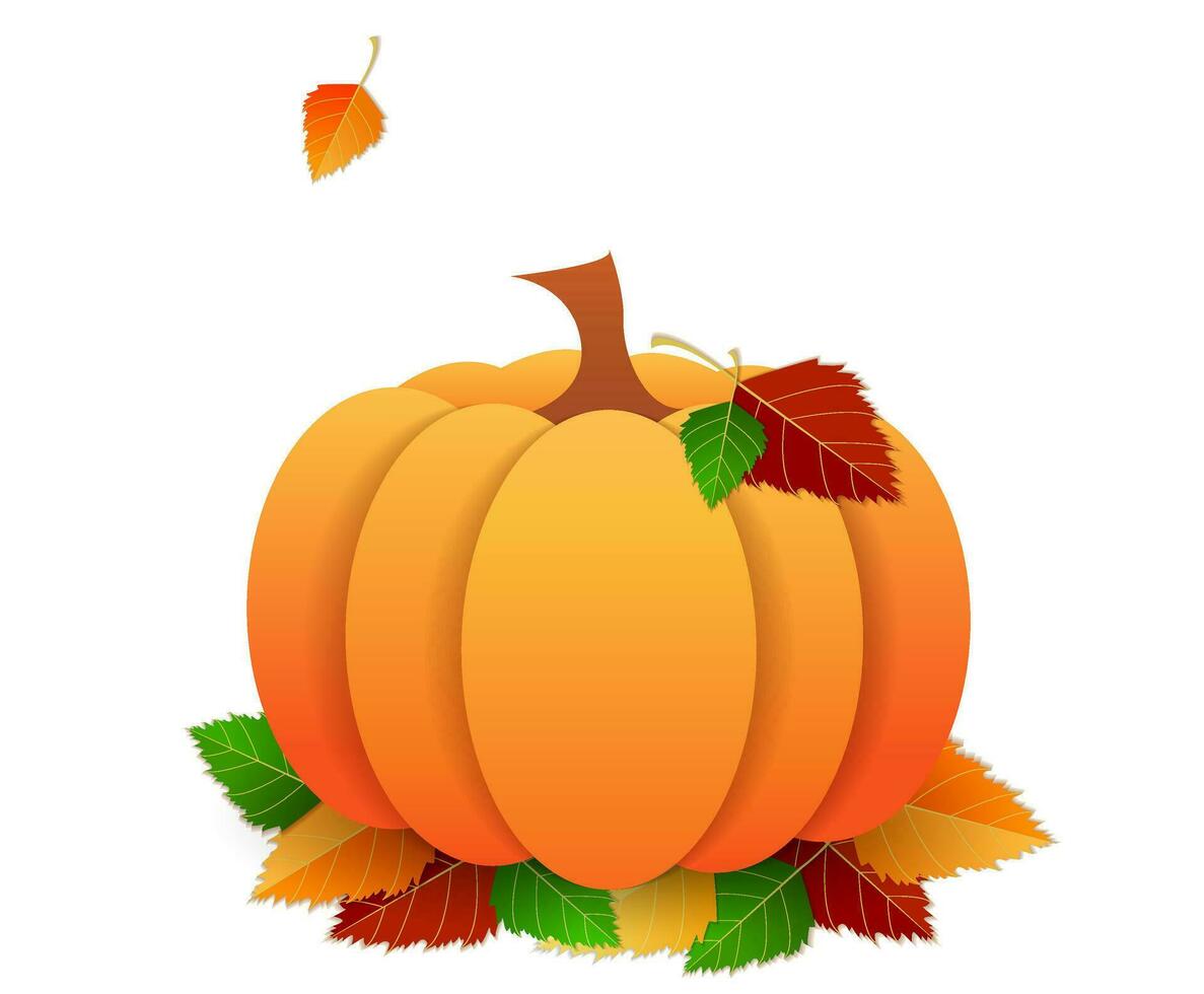 Orange pumpkin, autumn bright leaves on a white background. The concept of autumn harvest, halloween. vector