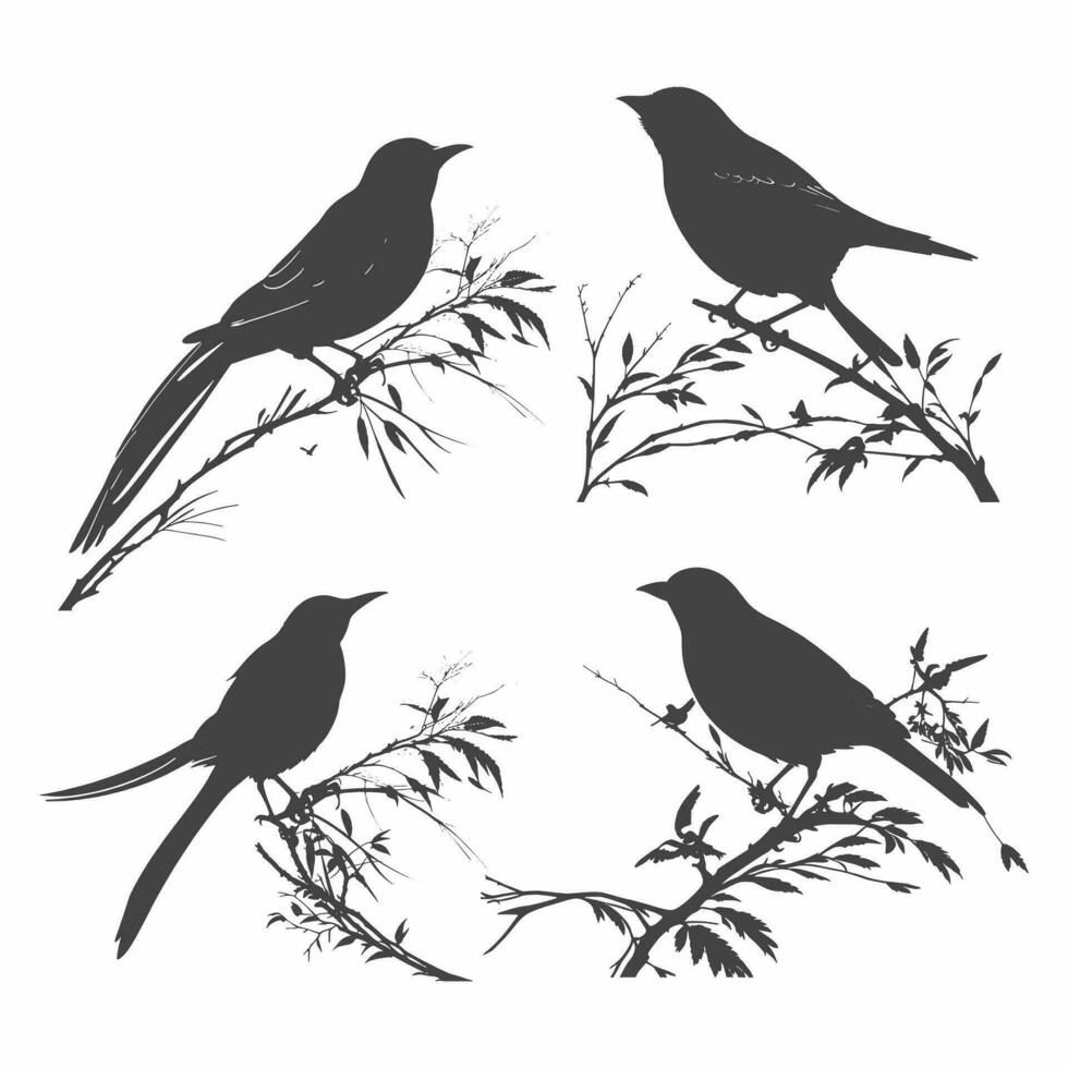 silhouette birds Vector set