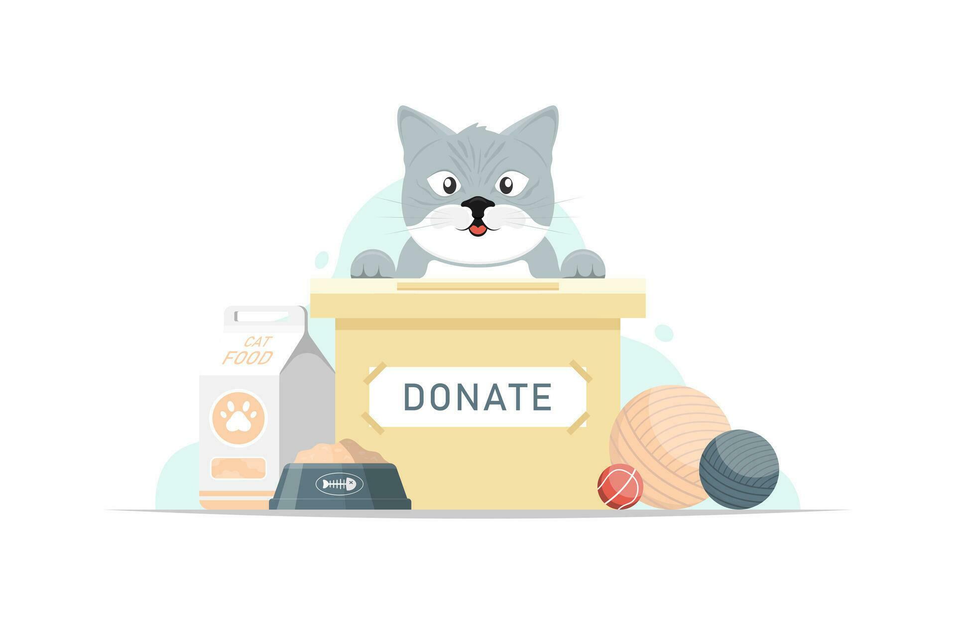 Cartoon donate food and equipment for stray cat, Vector illustration