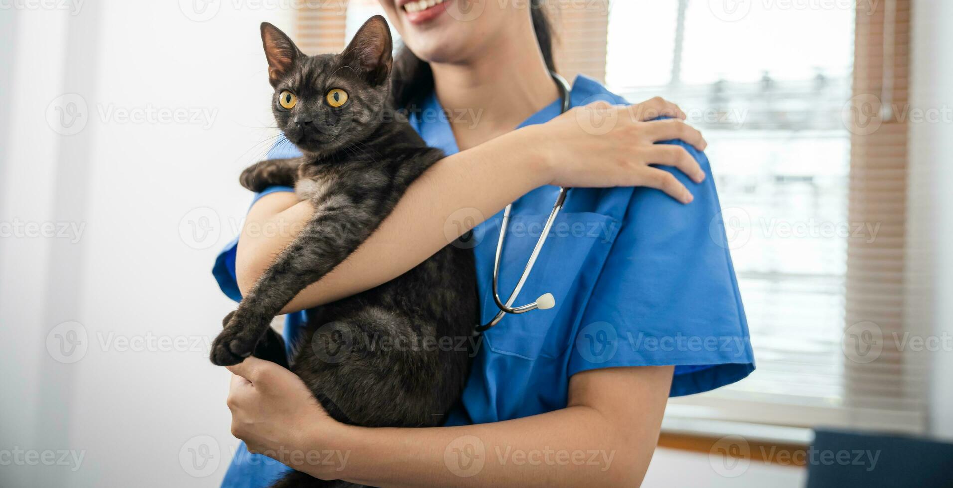 veterinario cirujano. gato en examen mesa de veterinario clínica. veterinario cuidado. veterinario médico y gato foto