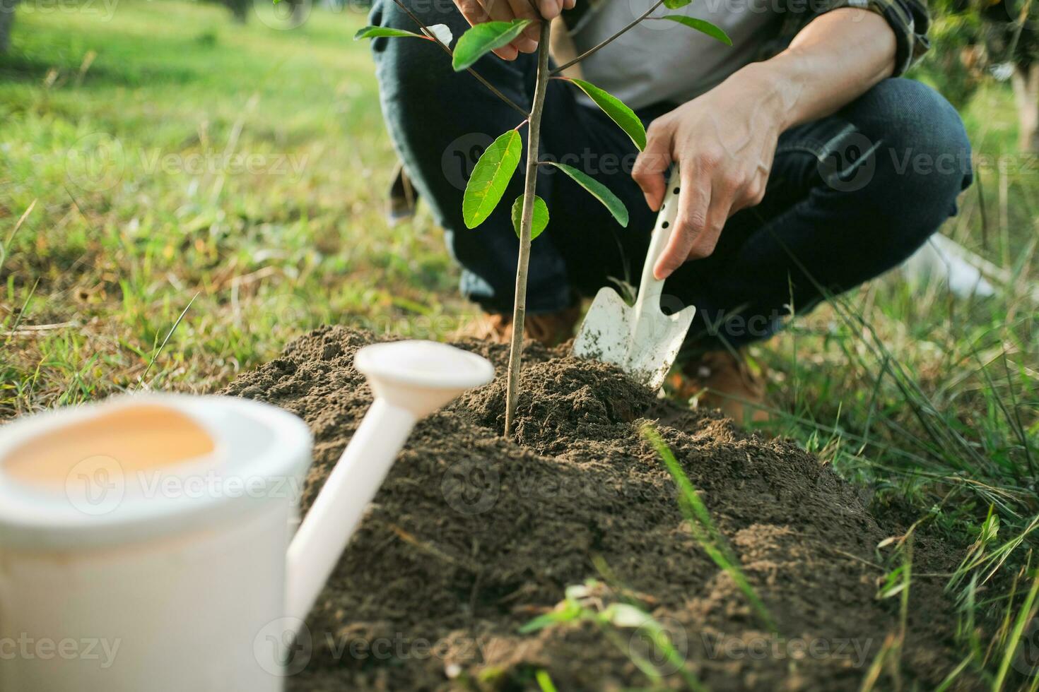 joven hombre jardinero, plantando árbol en jardín, jardinería y riego plantas foto