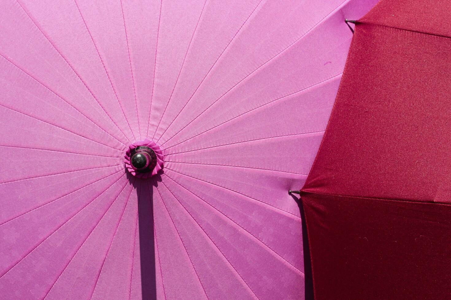 Japanese umbrella with sakura pattern. When getting wet, patterns will appear. photo