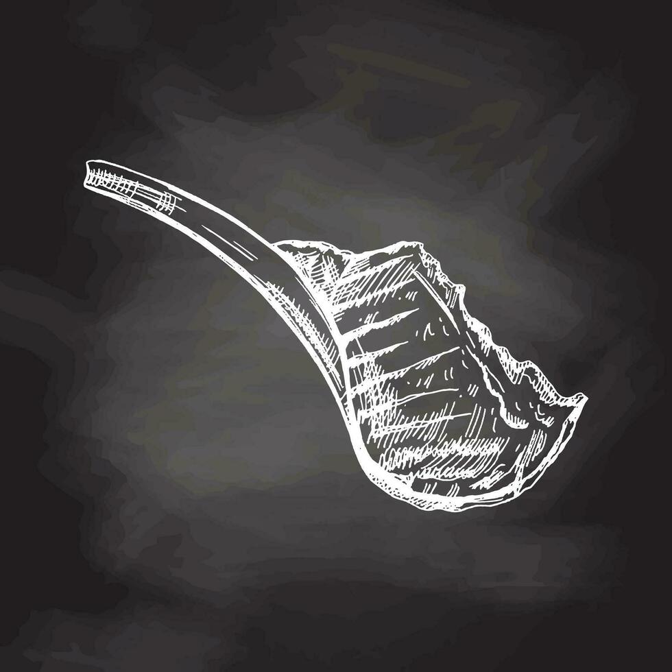 Hand drawn vector sketch of beef steak, piece of meat on the bone. Doodle vintage illustration isolated on chalkboard background. Decorations for the menu of cafes and labels. Engraved immage.