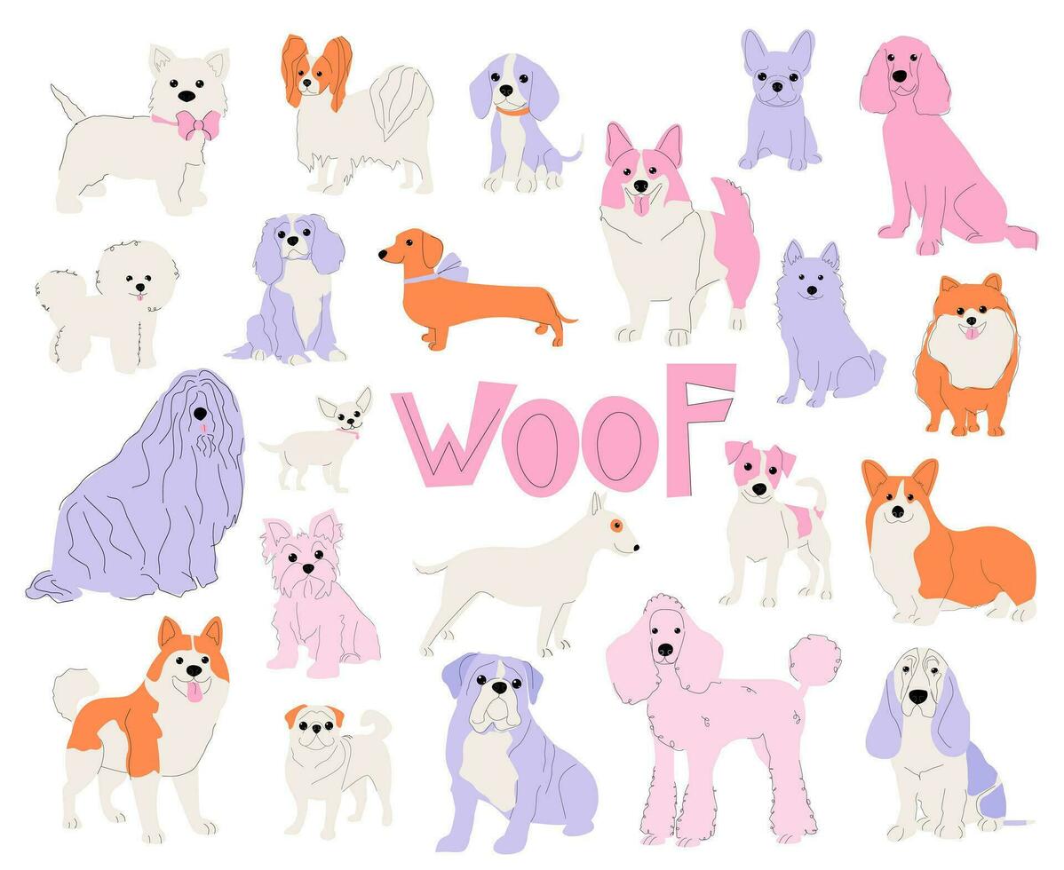 Dogs of different breeds isolated on white background set. Vector abstract multicolored pets illustration.