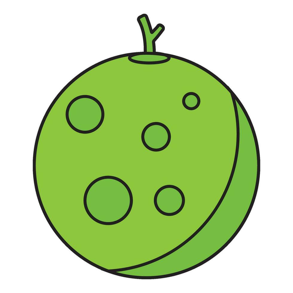 melon icon vector