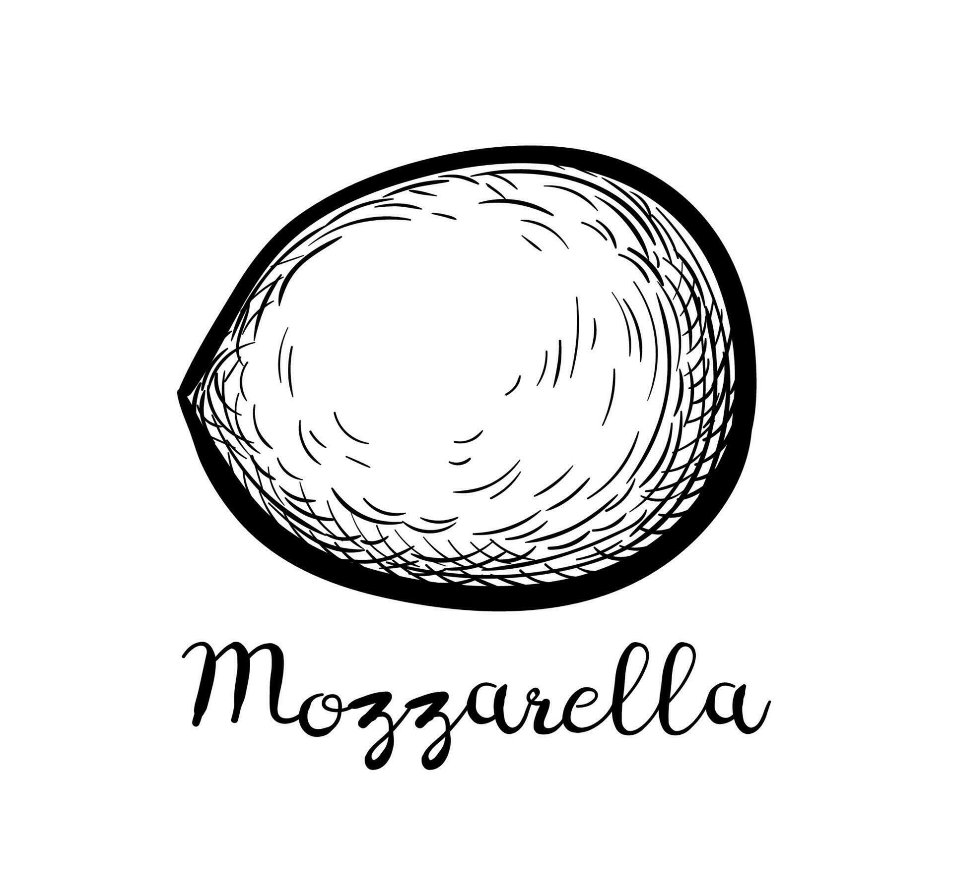 Mozzarella cheese. Ink sketch isolated on white background. Hand drawn