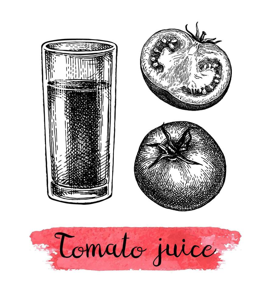 Tomato juice. Ink sketch isolated on white background. Hand drawn vector illustration. Vintage style stroke drawing.