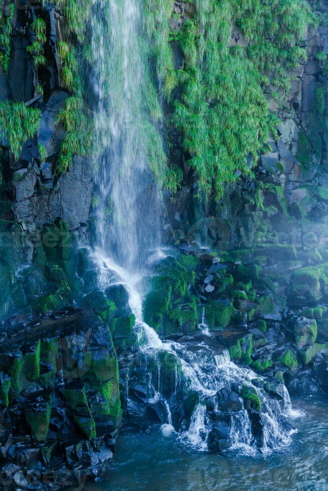 Iguazu Falls on the border between Argentina and Brazil with beautiful rainbows and lots of vegetation and lots of water falling down them photo