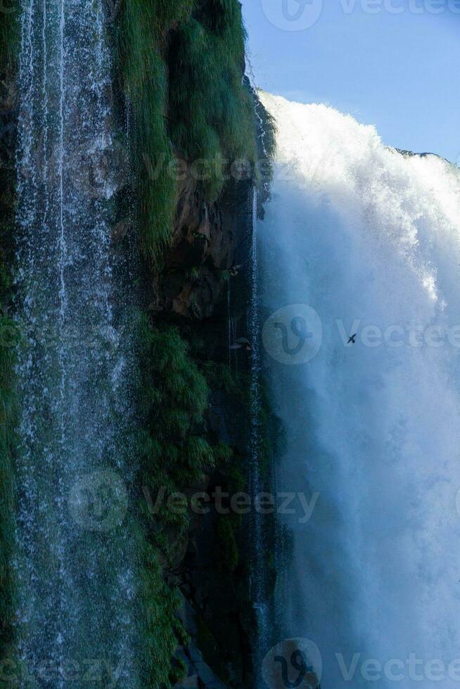 Iguazu Falls on the border between Argentina and Brazil with beautiful rainbows and lots of vegetation and lots of water falling down them photo