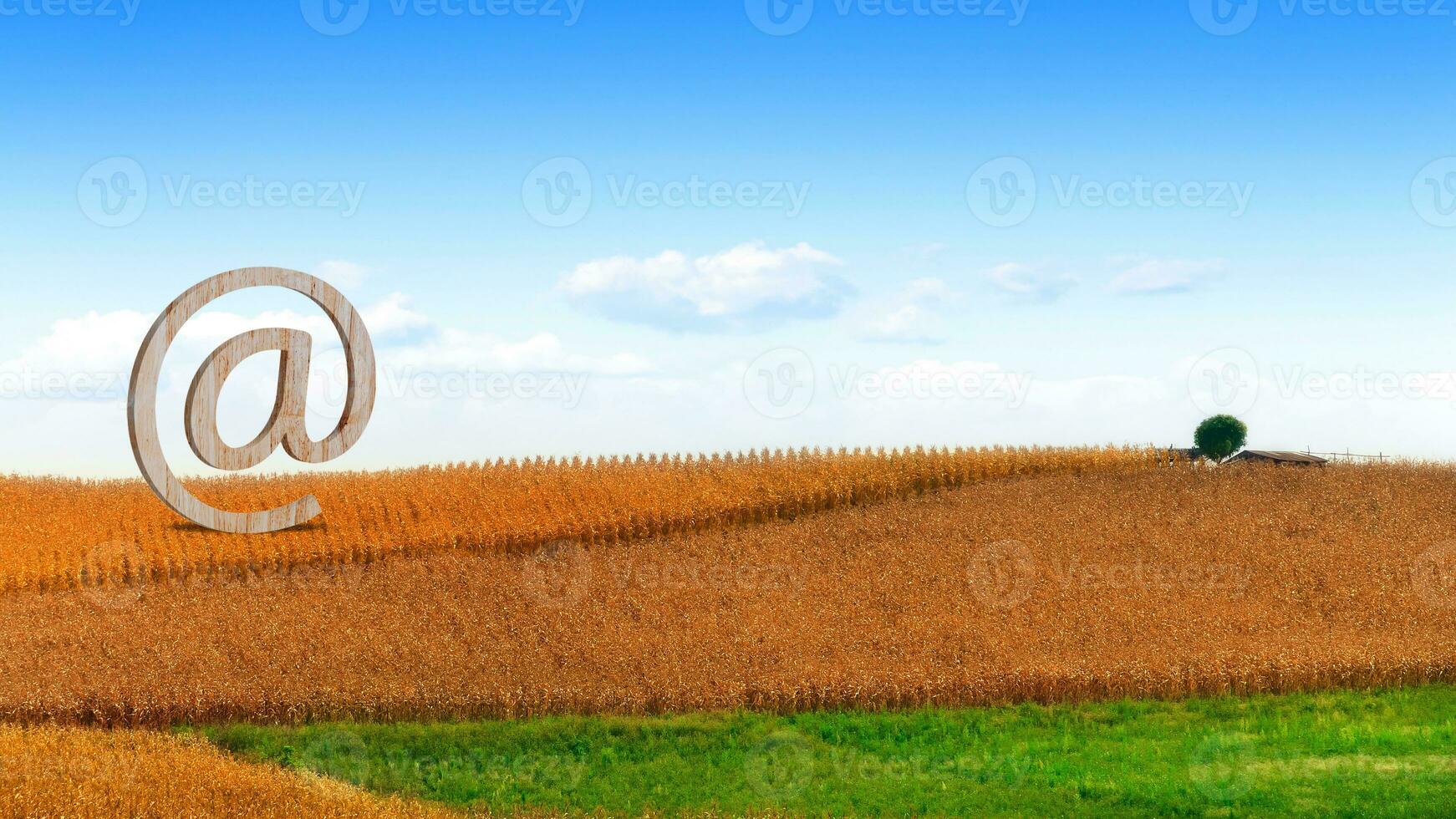 Email symbol at commercial, Internet correspondence. Concept of email address, Contacts and communication, Business representations on the Internet and social media, Feedback photo