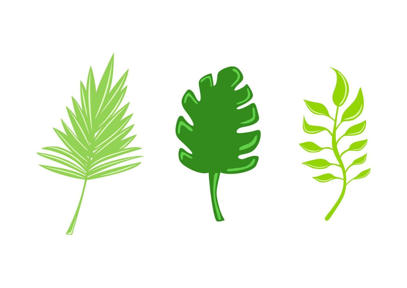 Set of tropical leaves. Jungle foliage. Green palm leaves on the white background. Tropical vector set