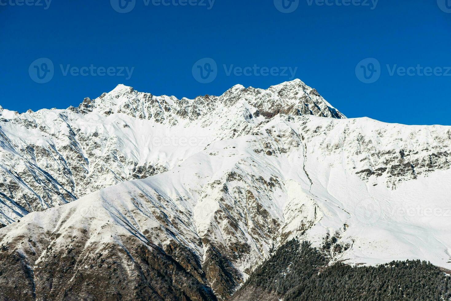 Beautiful sceneric view of Caucasus mountain. The way to mountain with pine forest covered with snow in winter season at Mestia Georgia photo