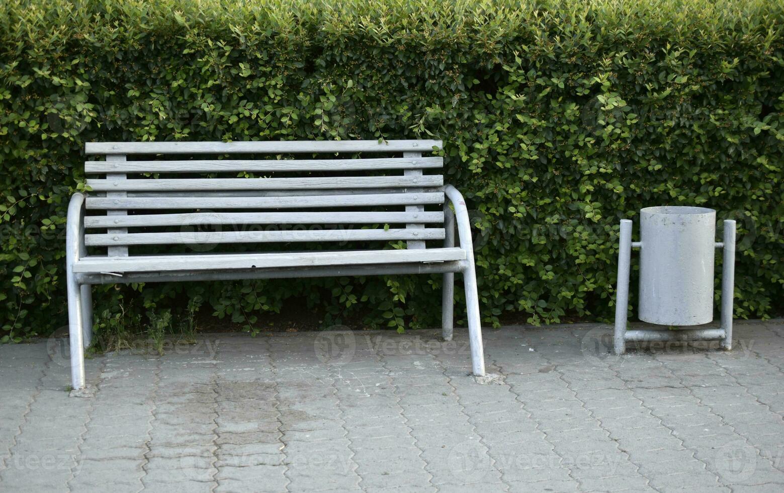 Benches and trash cans in the recreation park. Places to stay in the city. photo