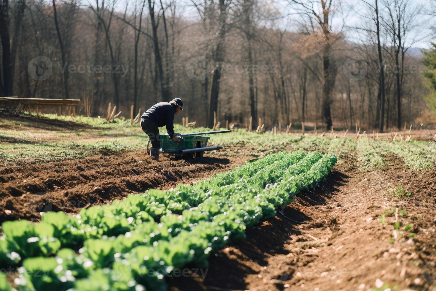 Working on a farm created with generative AI technology. photo