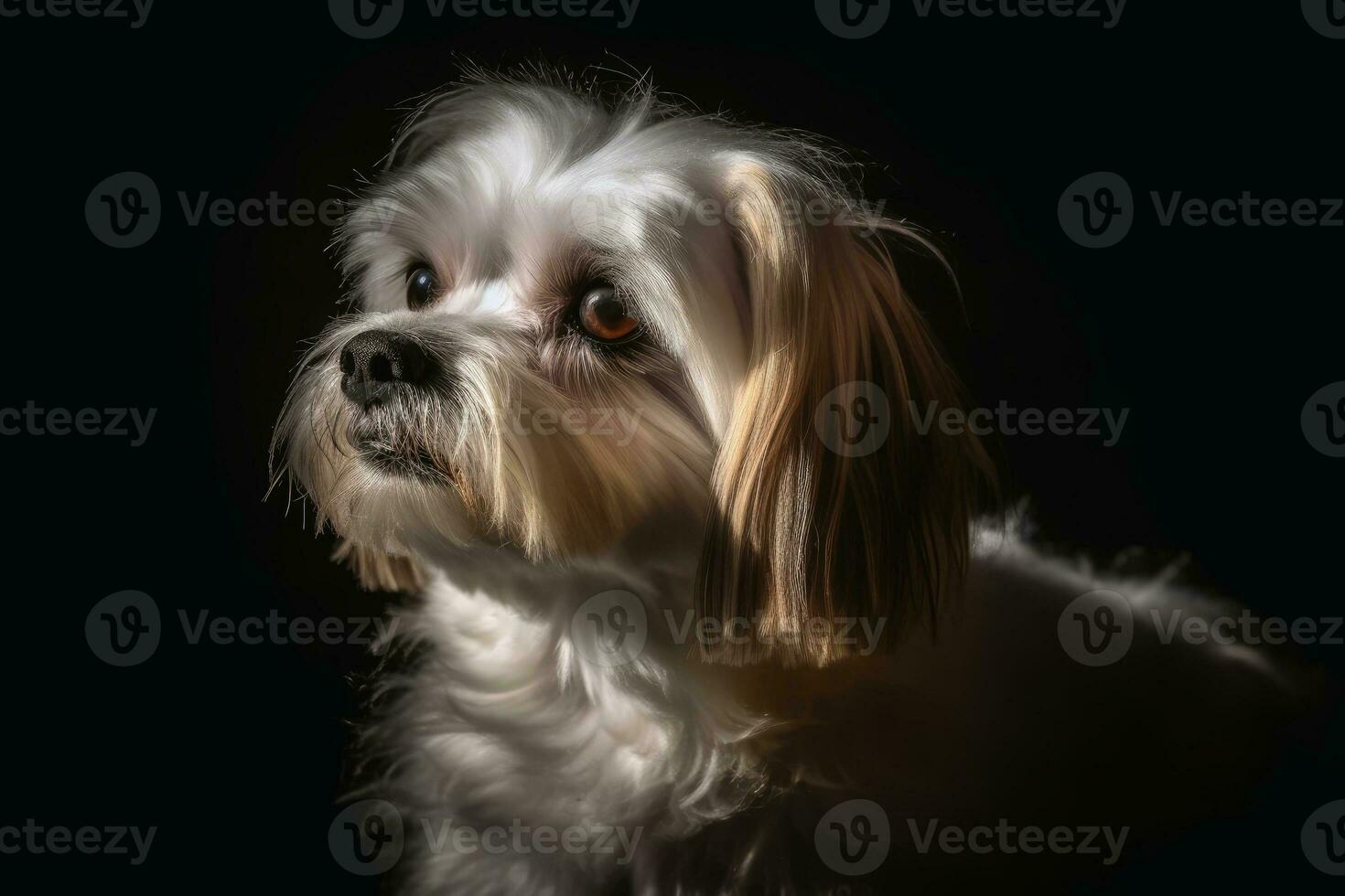 retrato de un linda malteser perro creado con generativo ai tecnología. foto