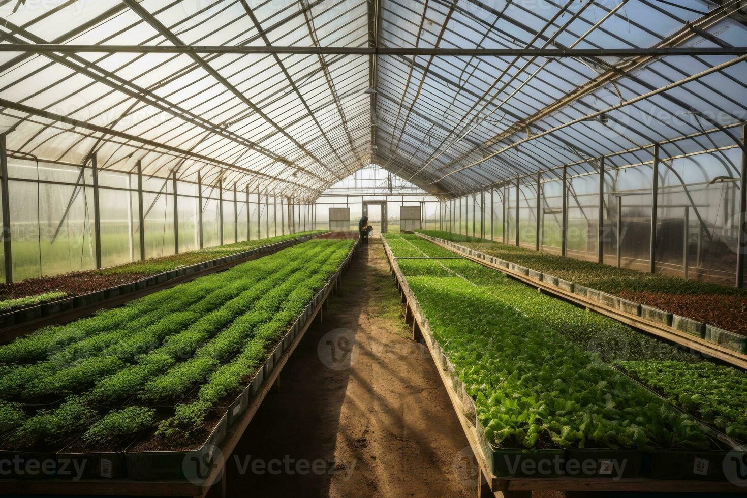View of a large greenhouse from inside for vegetable production created with generative AI technology. photo