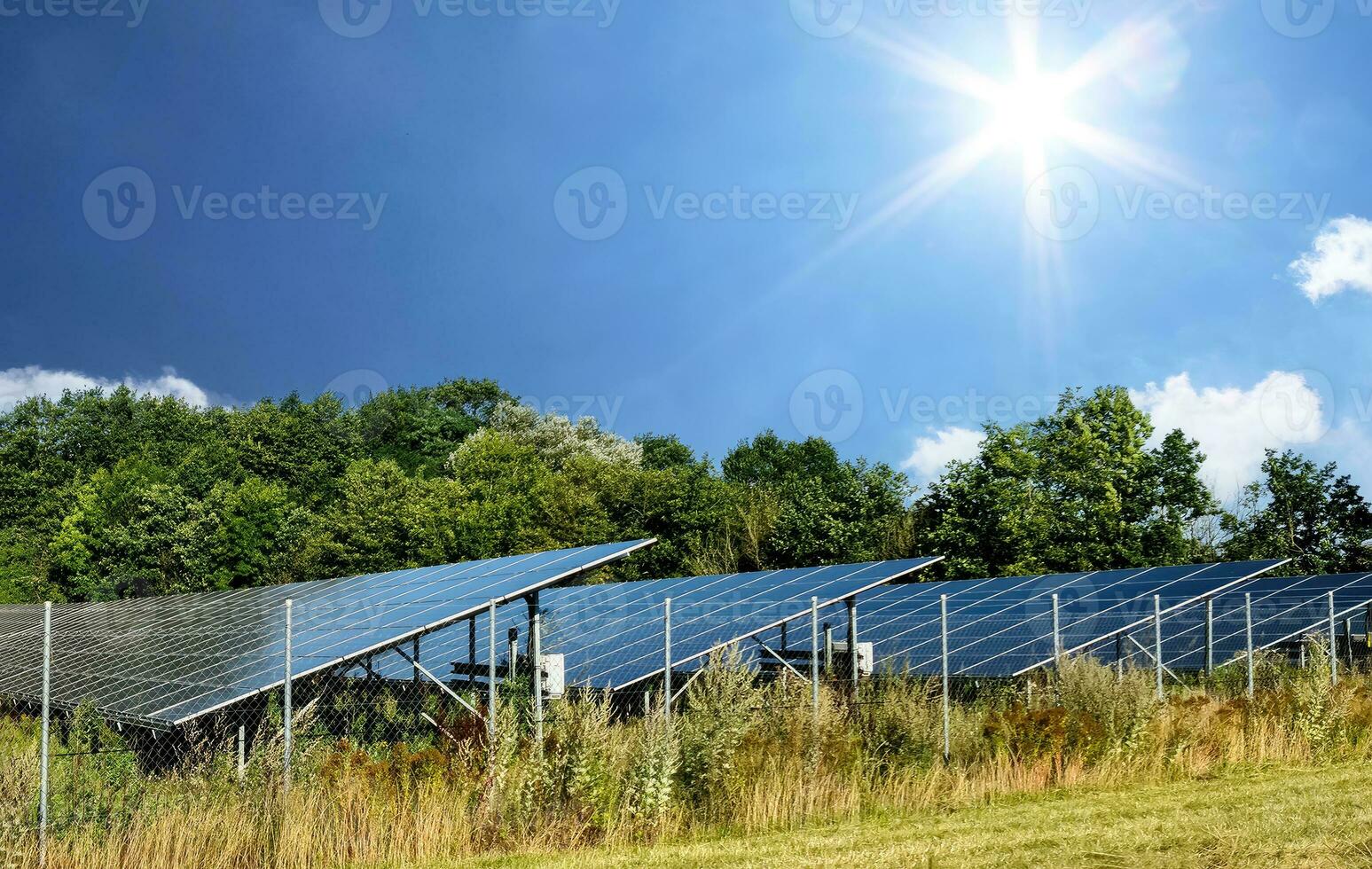 Generating clean energy with solar modules in a big park in northern Europe photo