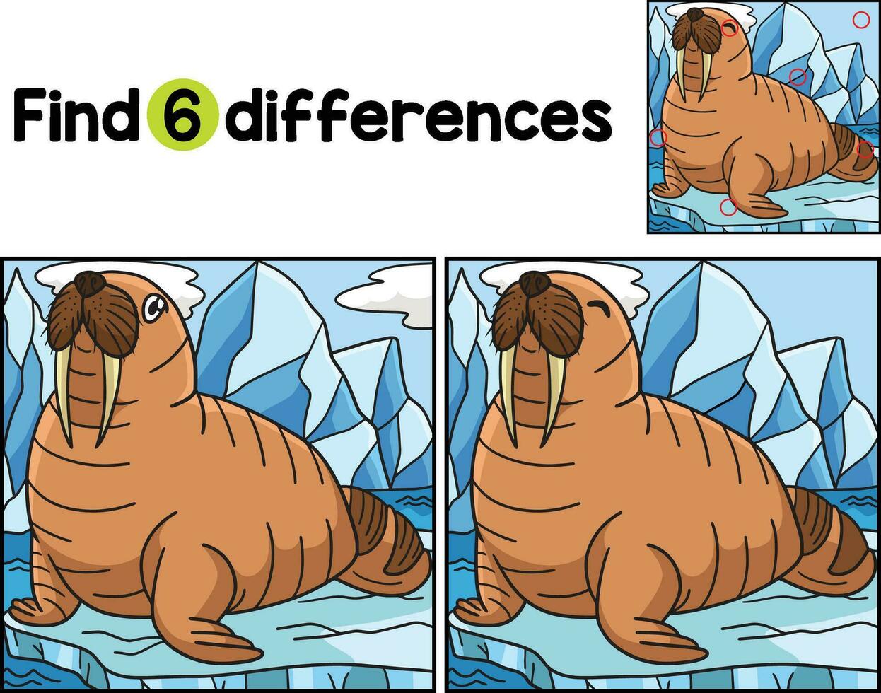 Walrus Animal Find The Differences vector