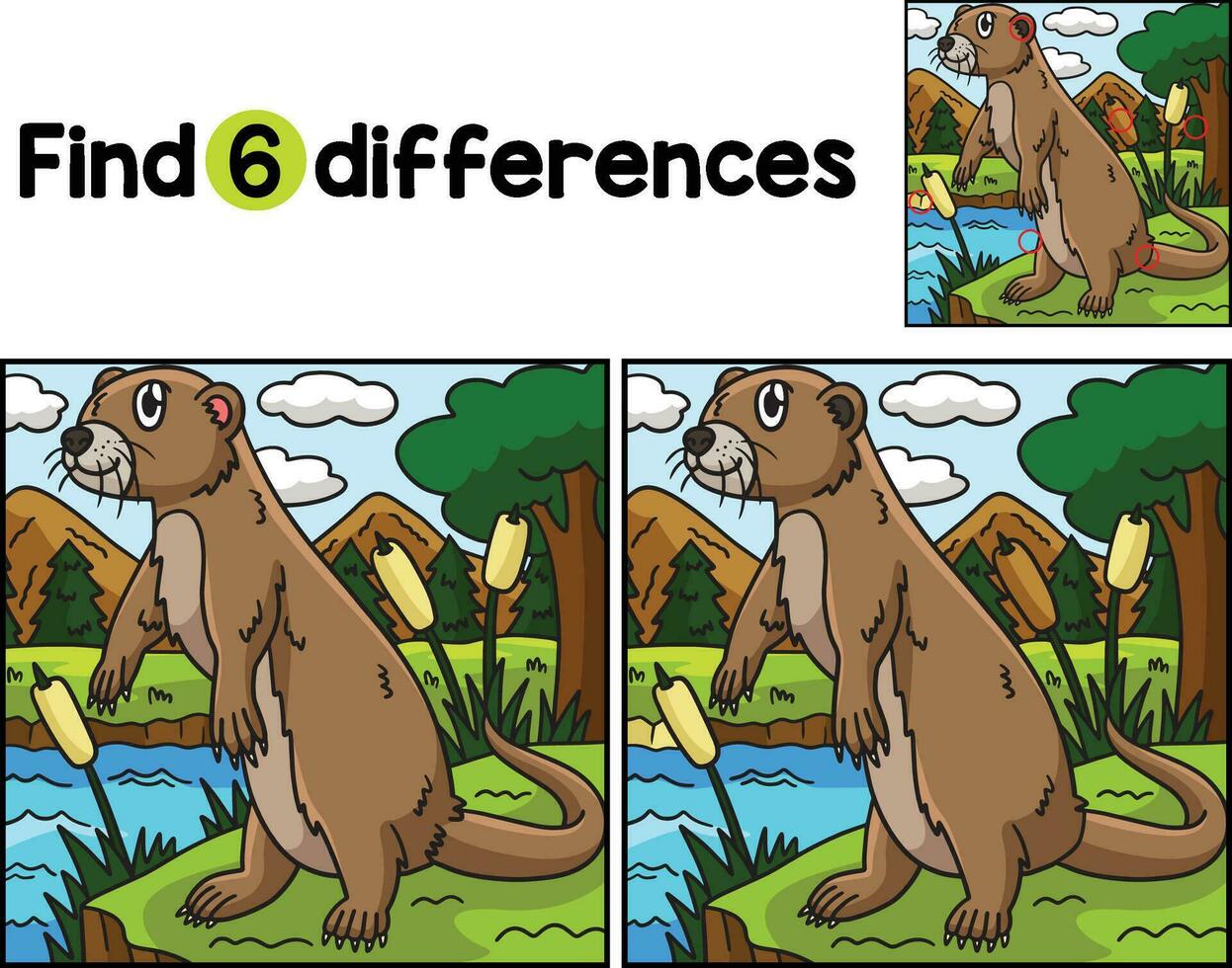 River Otter Animal Find The Differences vector