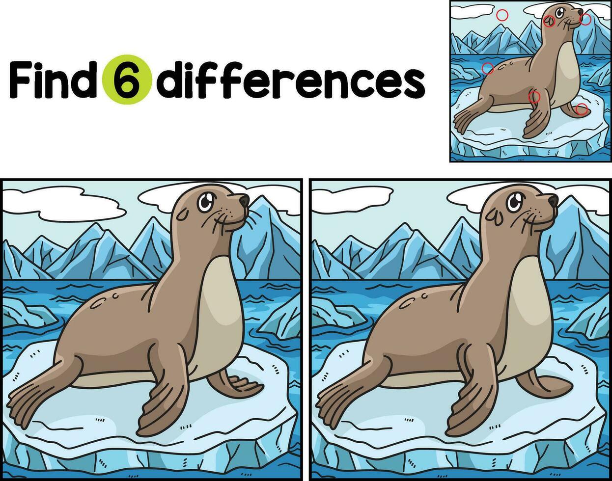 Seal Animal Find The Differences vector