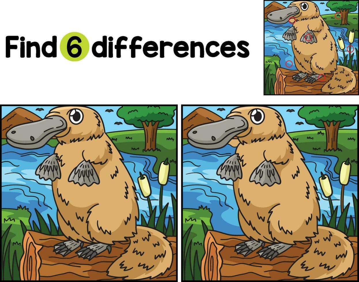 Platypus Animal Find The Differences vector