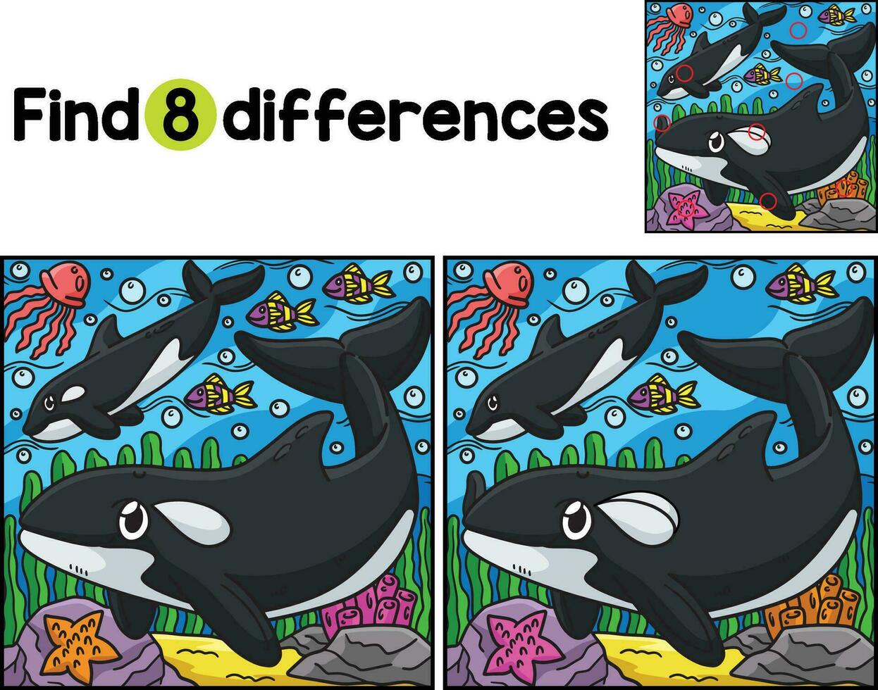 Killer Whale Animal Find The Differences vector